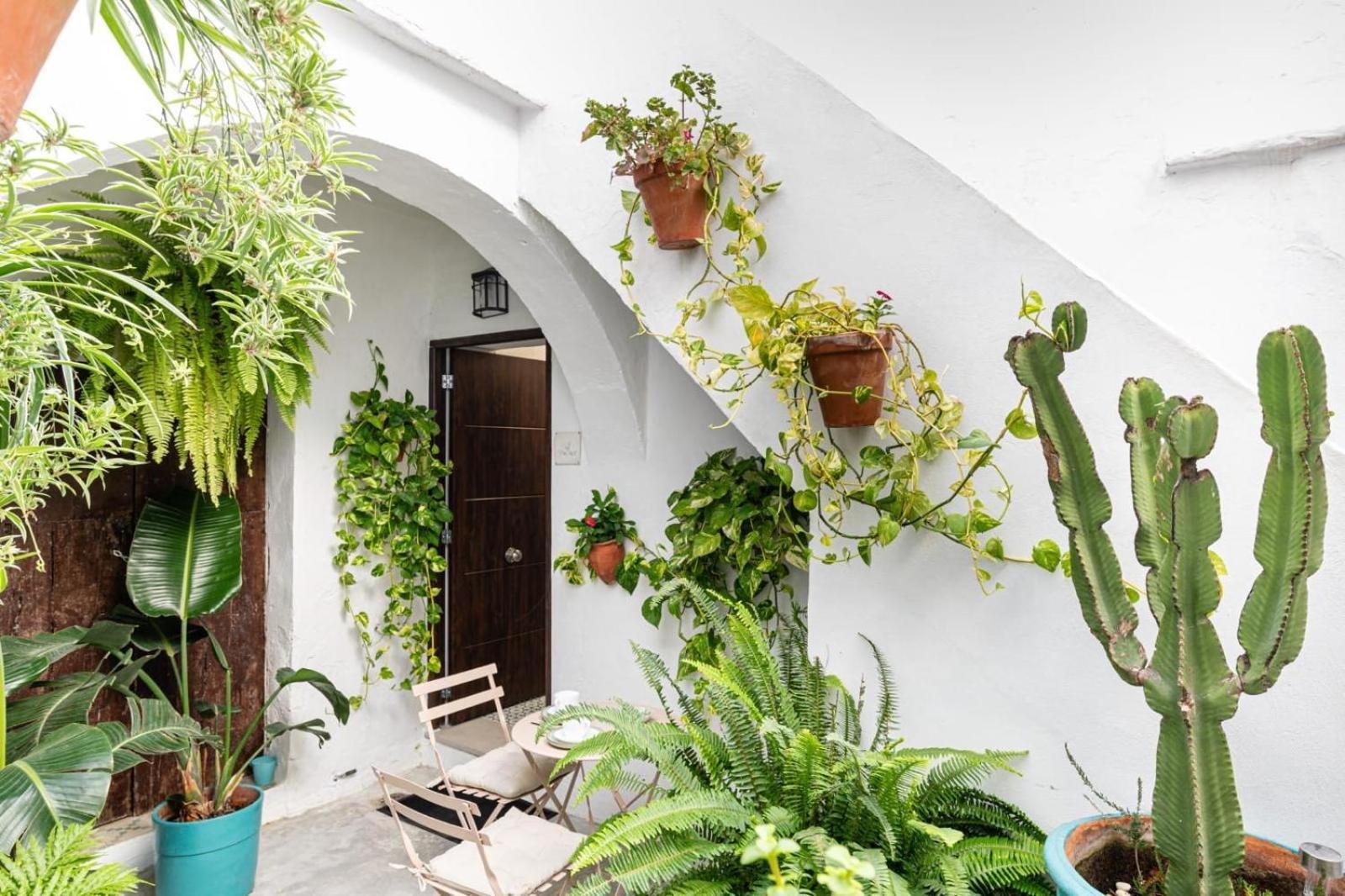 Casa La Fontana 3 Lejlighed Vejer de la Frontera Eksteriør billede